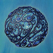Avatar for BaubleDawdle