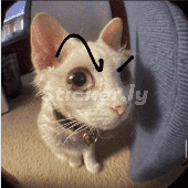 Avatar für kzinbss