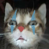 Avatar for manovinisin