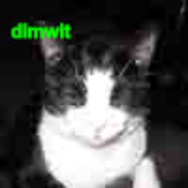 Avatar for nothenryw