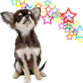 Avatar for Blattlaus84