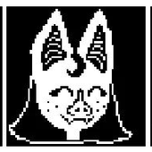 Avatar for Sadbunbun09
