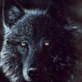 Avatar für lonewolf11