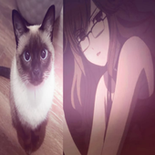Avatar for catirl