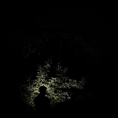 Avatar for GuillatineOne