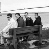 thehousemartins_3.JPG