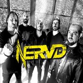 nervd.jpg