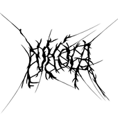 Avatar for nikkoelite