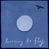 Learning to Fly