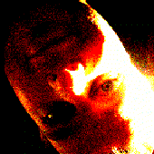 Avatar for volroh