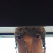 Avatar di yiibby