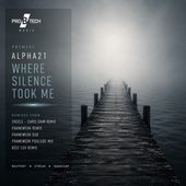Where Silence Took Me