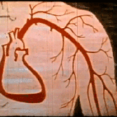 Avatar di foryouearth