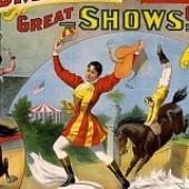 Avatar for A_Y_L_A