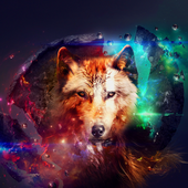 Awatar dla Wolfman3333