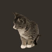 Avatar for ikamiii