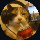Avatar for D1TryX