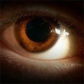 Avatar for Vallpl