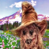 Avatar für KKArso