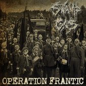 Operation Frantic