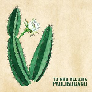 Immagine per 'Paulibucano'