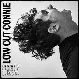 Image for 'Livin in the USA'