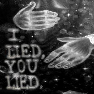 'I Lied, You Lied' için resim