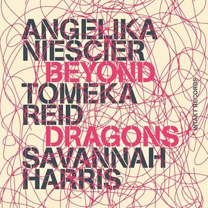 Bild für 'Beyond Dragons'