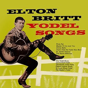 Bild för 'Yodel Songs'