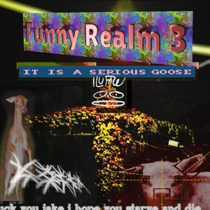 Imagen de 'Funny Realm 3: It Is A Serious Goose'