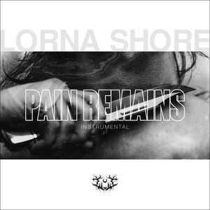 “Pain Remains (Instrumental)”的封面