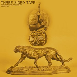 Image for 'Three Sided Tape Volume One'