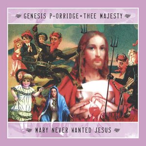 Image for 'Mary Never Wanted Jesus'