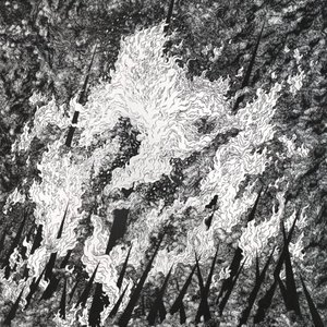 Image for 'Vilkacis / Turia'