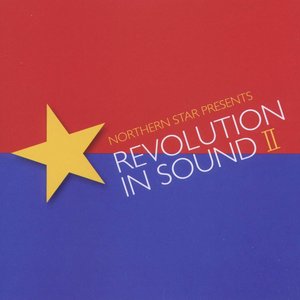 Imagem de 'Revolution In Sound II'