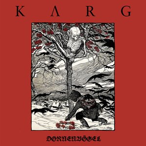 Image for 'Dornenvögel'