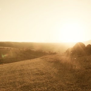 Image for 'Wonderland'