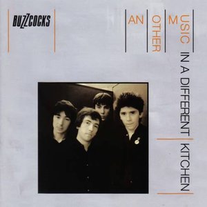 Immagine per 'Another Music In a Different K'