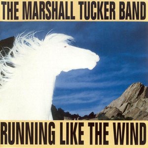 Image for 'Running Like the Wind'