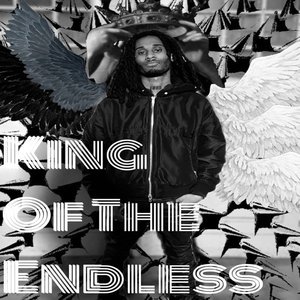 Image for 'King of the Endless'