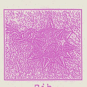 Immagine per 'Demo 2015'