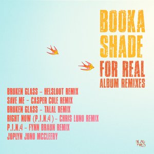 Image for 'For Real Album Remixes'