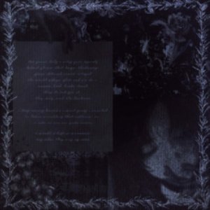 Image for 'quiet disappearance'