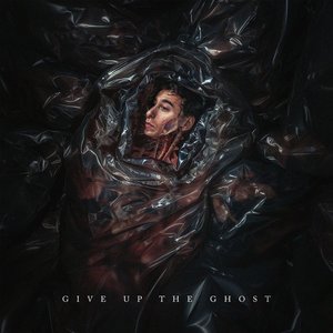 'Give Up The Ghost' için resim