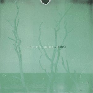 Image for 'A Forest'