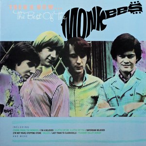 Bild för 'Then & Now...The Best of the Monkees'