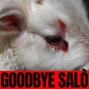 Image for 'GOODBYE SALÒ'