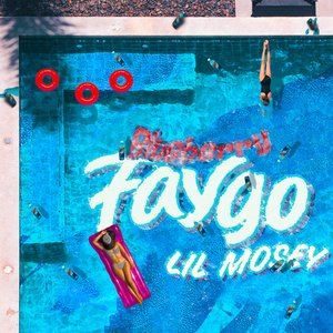 Bild für 'Blueberry Faygo'
