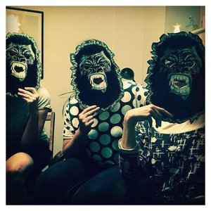 Image for 'we used to be animals'