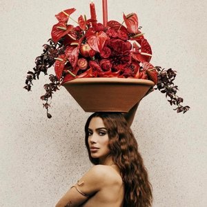 'Anitta, Alceu Valença' için resim